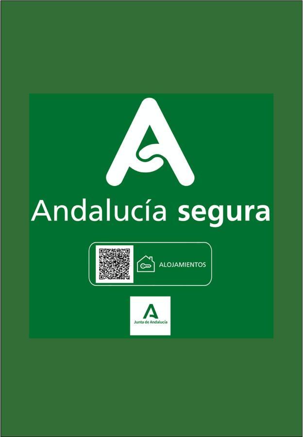 Holidays2Malaga Biedmas Terraza En Casco Historico 외부 사진